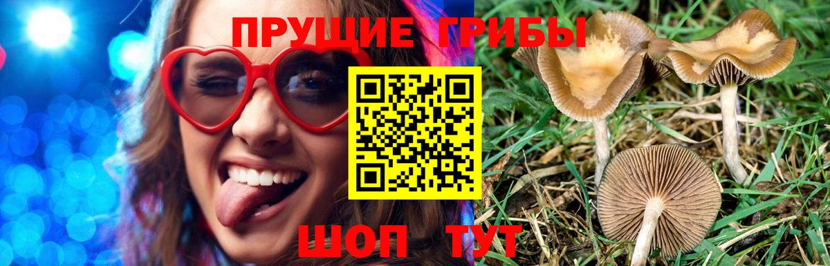 Галлюциногенные грибы мухоморы  Вход с VPN  Волгоград 